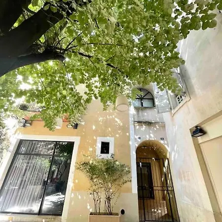 Le Cosy Littre - Coeur De - Rue Pietonne Apartment